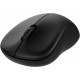 Rapoo M160 Multi-Mode Silent Wireless Mouse (Black)