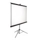 SCREEN INFORCE WALL 100" (4:3)