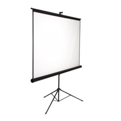 SCREEN INFORCE WALL 100" (4:3)