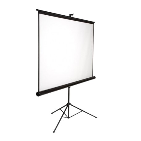 SCREEN INFORCE WALL 100" (4:3)