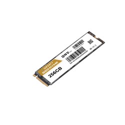 QWERTY SSD M.2 NVME GEN3 256GB