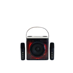 ADVANCE DIGITAL AUDIO SPEAKER V10 KARAOKE + 2 MIC WIRELESS