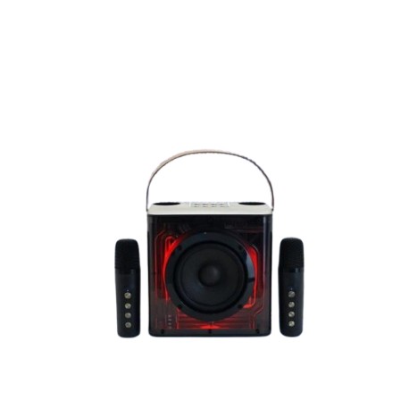 ADVANCE DIGITAL AUDIO SPEAKER V10 KARAOKE + 2 MIC WIRELESS