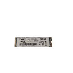 SSD DST 256GB M.2 NVME-AI POWER DRIVE