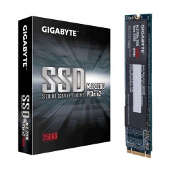 SSD M2 NVME GIGABYTE 256GB